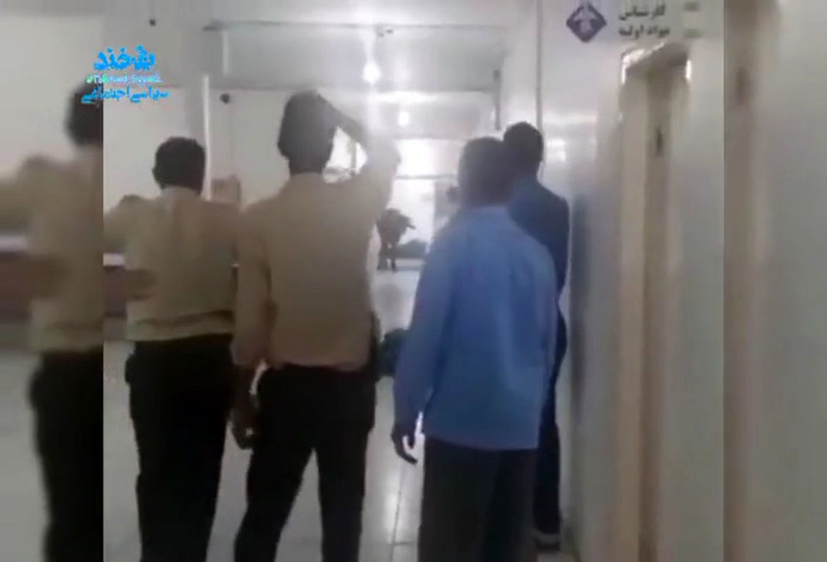 اعتراض متفاوت به نبود علوفه/گاو میش ها در  اداره دولتی! +عکس 