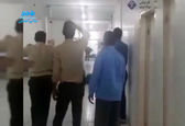 اعتراض متفاوت به نبود علوفه/گاو میش ها در  اداره دولتی! +عکس 
