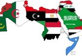 چند کشور دنیا به زبان عربی صحبت می کنند؟