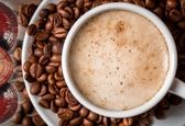 خواص قهوه گانودرما دکتر بیز