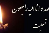 خبرنگار معروف درگذشت