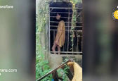 زنی که ۲۵ سال در یک قفس محبوس شده+عکس