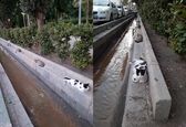 فاصله‌ اجتماعی عجیب در پارک هنرمندان +عکس
