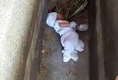 نوزاد ۲ ماهه گمشده سر از قبر خالی درآورد!؟ + عکس 