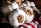عوارض خطرناک خوردن سیر برای این افراد