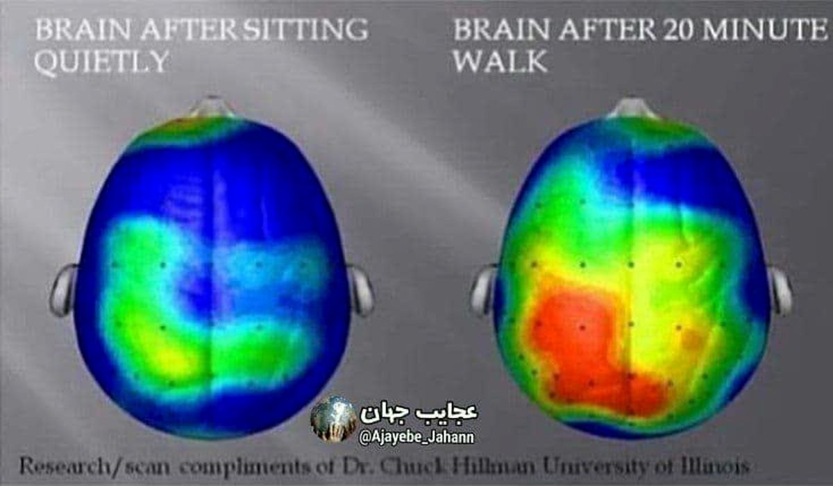 تاثیر جالب پیاده روی بر مغز!+عکس