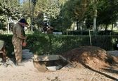 محل جدید دفن استاد شجریان +عکس