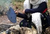  غذا پختن جالب آزاده آل ایوب در طبیعت +عکس