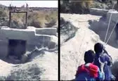 قاچاق به سبک انگری بردز! +عکس 