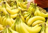 کشف ۱۶ تن موز احتکار شده 