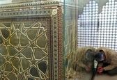 شهید سردار سلیمانی در حرم حضرت زینب (س) + عکس 