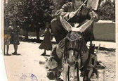 تفریحات عجیب جوانان تهرانی+عکس