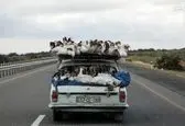 تصویری جالب از حمل غاز با خودرو