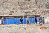 حمله وحشتناک یک پلنگ برفی به 16 راس گوسفند+ویدئو