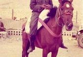 عکس کمتر دیده شده از حاج قاسم سوار بر اسب
