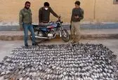 عکس شوکه کننده که در فضای مجازی می چرخد!