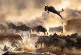 تصویر دیدنی از خیز باورنکردنی بوفالو