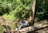 حمله مرگبار مار شاه کبرا به مارگیر!+فیلم