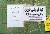 بازار پررونق خرید و فروش کبد در ایران