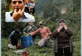 زبان ساکنان این دهکده عجیب سوت است+عکس