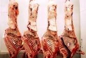 خرید استخوان در آبادان به دلیل گرانی گوشت+ فیلم 