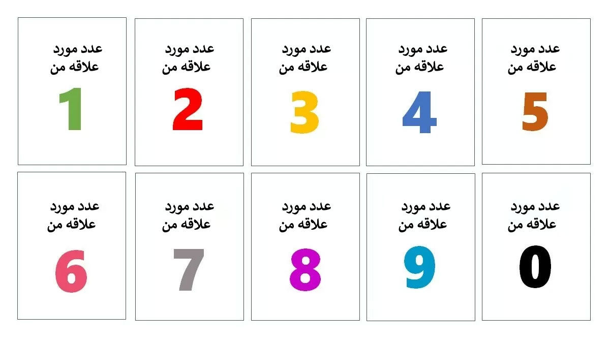 تست شخصیت شناسی | عدد مورد علاقه شما چیست؟
