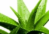 مثل آب خوردن از شر جوش های زیر پوستی خلاص شویم؟
