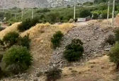 بازیگوشی خرس مادر و سه توله بامزه اش در چشمه دنا +فیلم 