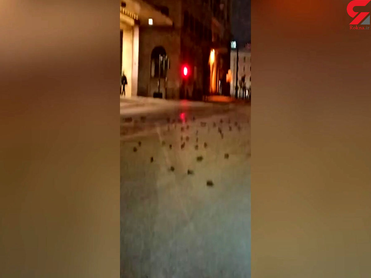فیلم وحشتناک از اجساد پرنده ها کف خیابان
