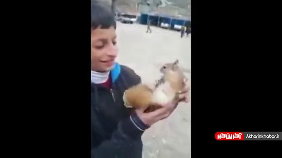 دوستی پسربچه کردستانی با یک سنجاب! +فیلم