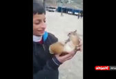 دوستی پسربچه کردستانی با یک سنجاب! +فیلم