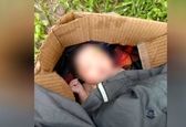 سگ ولگرد نوزاد سر راهی را نجات داد! +عکس