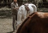 زندگی لاکچری امیرعلی دانایی +عکس