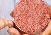 خوردن گوشت بدون نیاز به کشتن حیوان!+عکس
