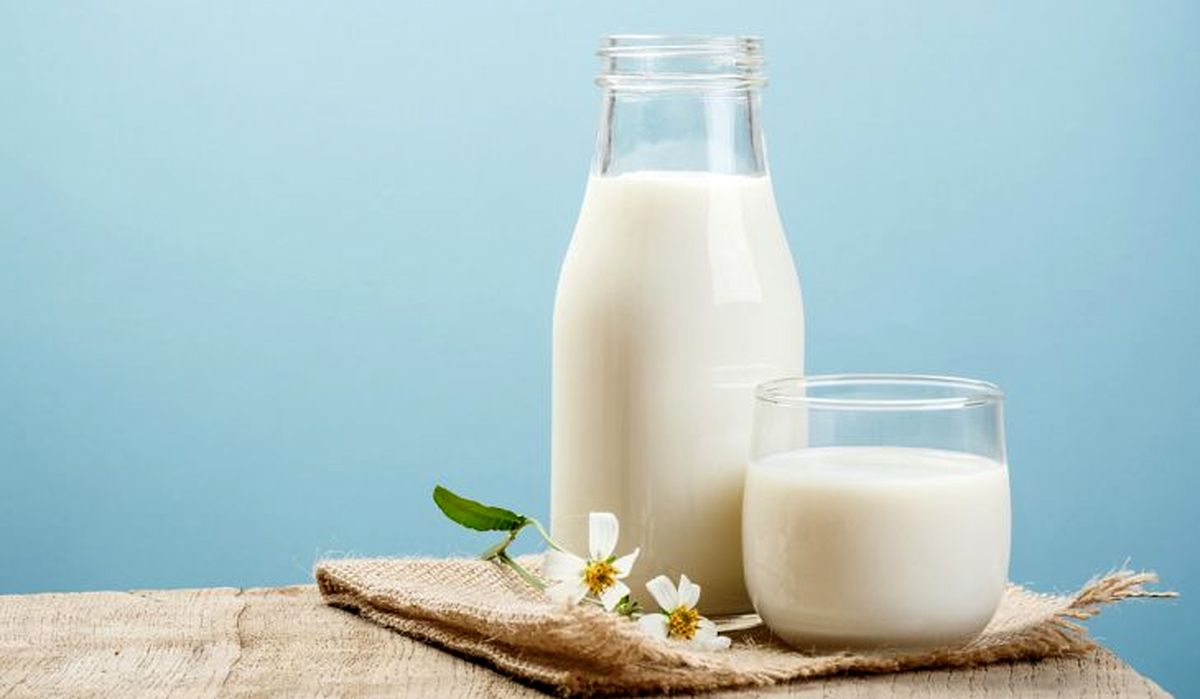 شیر سوسک 4 برابر مغذی تر از شیر گاو!؟