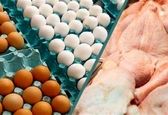 قیمت مرغ و تخم مرغ در میادین تره بار چند؟