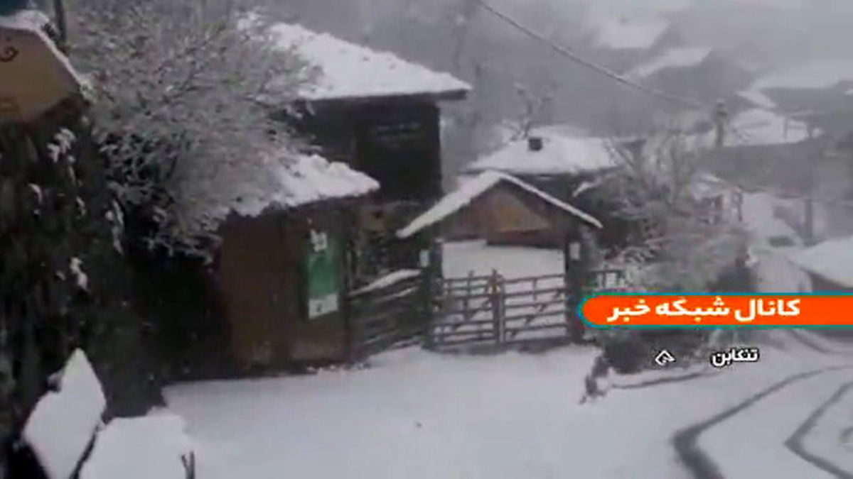 بارش اولین برف ۱۴٠٠ در ساری  +فیلم