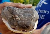 مرگ دردناک دو کودک در خواب ! +فیلم
