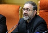 واکنش ذوالفقاری به سود هنگفت از بیمه زائران اربعین