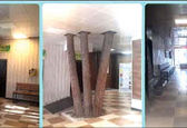 احترام به طبیعت به سبک بیمارستان سنندج +عکس