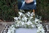انتشار اولین عکس از مزار استاد شجریان
