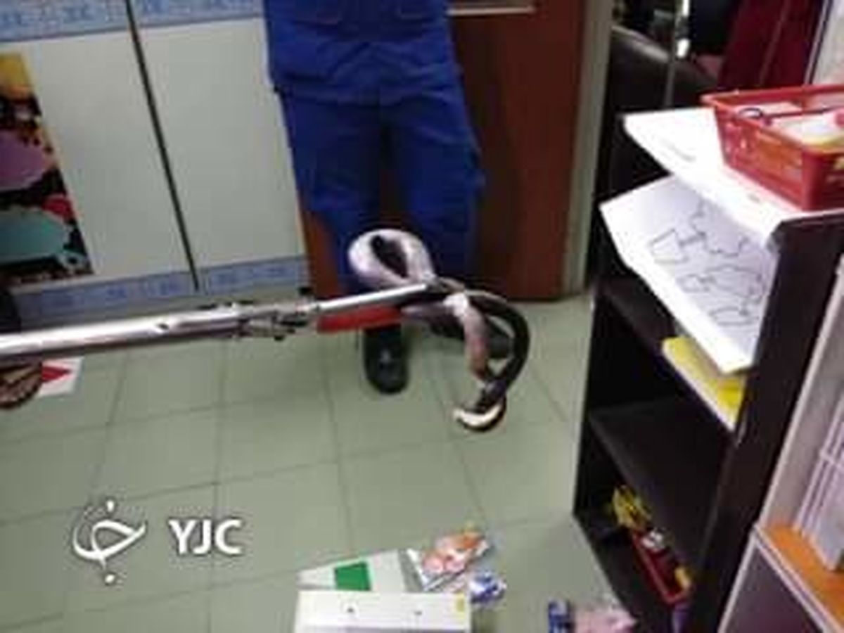 پنهان شدن مار کبرا در قفسه کتابخانه مدرسه! +تصاویر