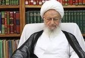 نظر آیت‌الله مکارم شیرازی درباره سگ‌گردانی 