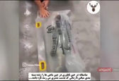 بسته‌بندی ماهی زنده در چین! +فیلم