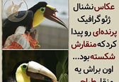 رسم عاشقی در استوری عجیب «مرجانه دلدار گلچین» +عکس