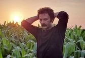 حسام منظور در غروب رویایی یک مزرعه +عکس