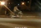 فرار وحشتناک یک خرس از باغ وحش هویزه+ویدئو