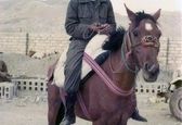 تصویری دیده نشده از اسب سواری شهید سردار سلیمانی