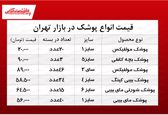 پوشک بچه در بازار چند؟ + جدول 