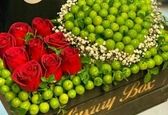 وقتی نیم کیلو گوجه سبز نیم میلیون خرج بر می دارد! + عکس 